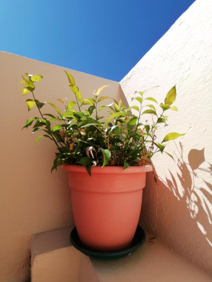 Apartamento Penha T3 Фару Екстер'єр фото